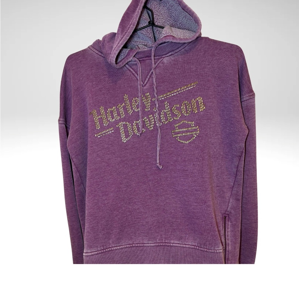 Harley-Davidson Purple Hooded/ Chimney Rock, NC memorabilia